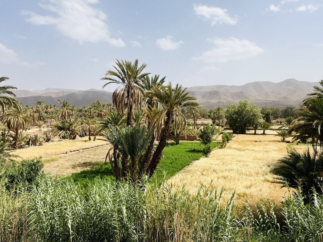 El Valle del Drâa, la gran arteria del sur de Marruecos - Blogs de Marruecos - Introducción (8)