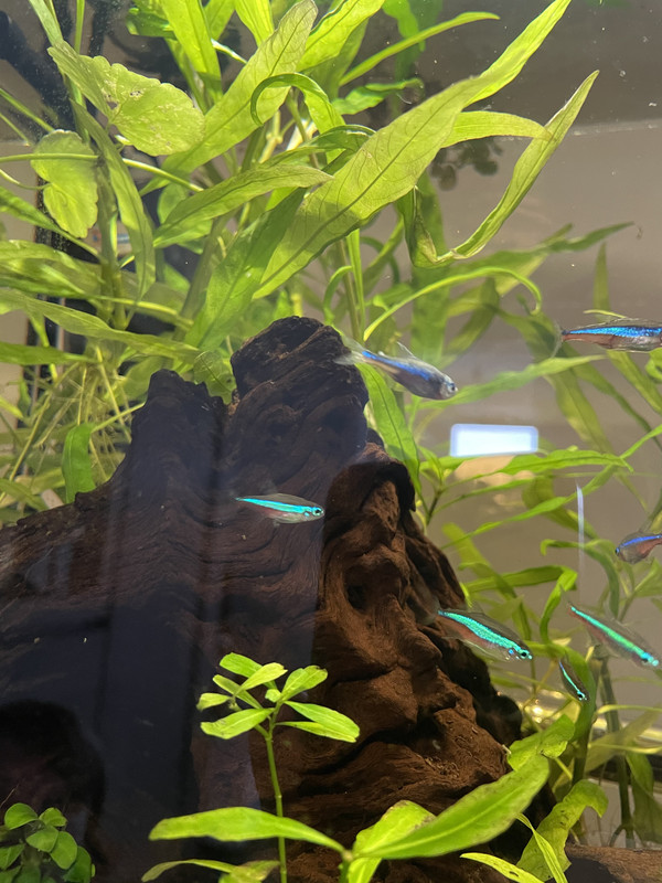 CC1D6969-DB50-4B9E-B575-6A841329F03B