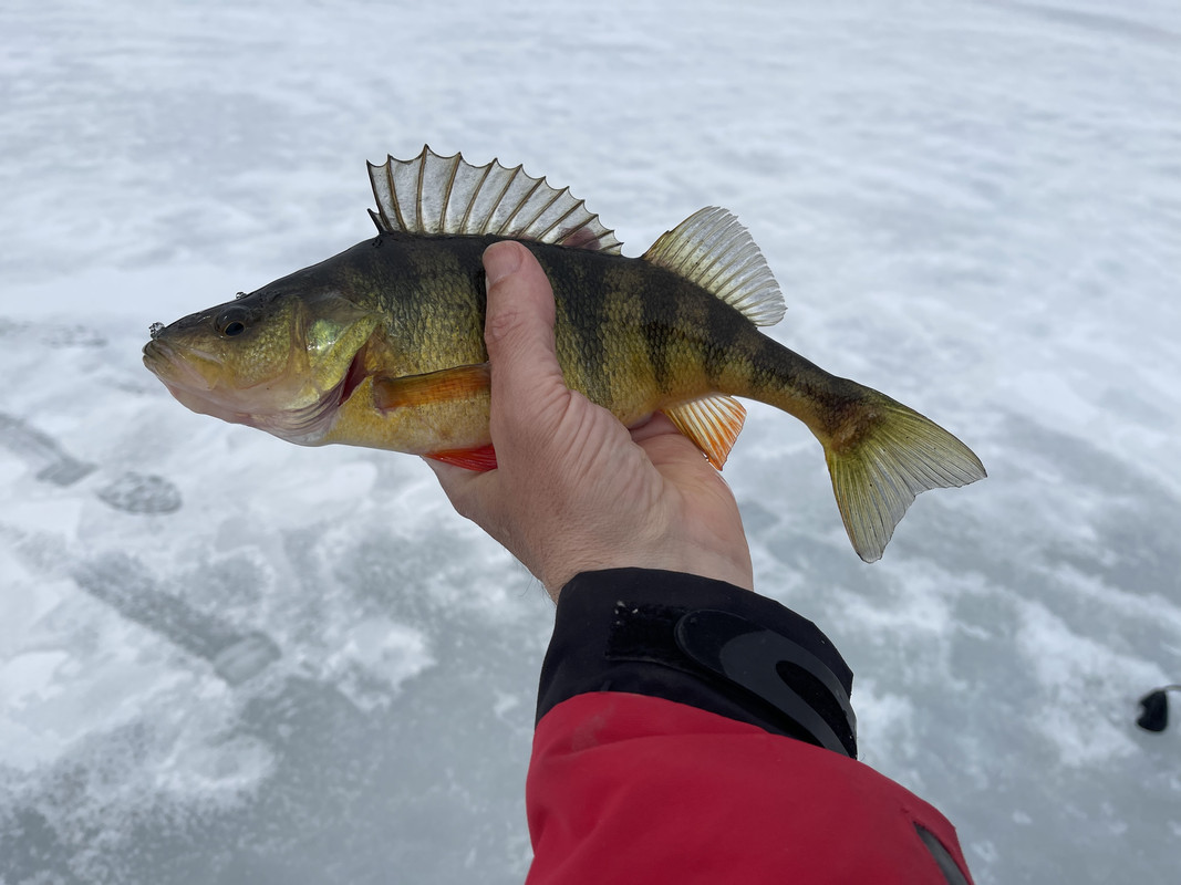 E061CA01-7E3F-4F27-A1EF-715003571744