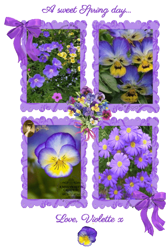 spring2-DID