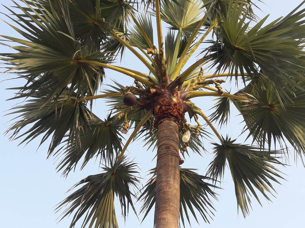 IMG-c0fcf678fbe1a504a9b0bcaa94b02467-V-1