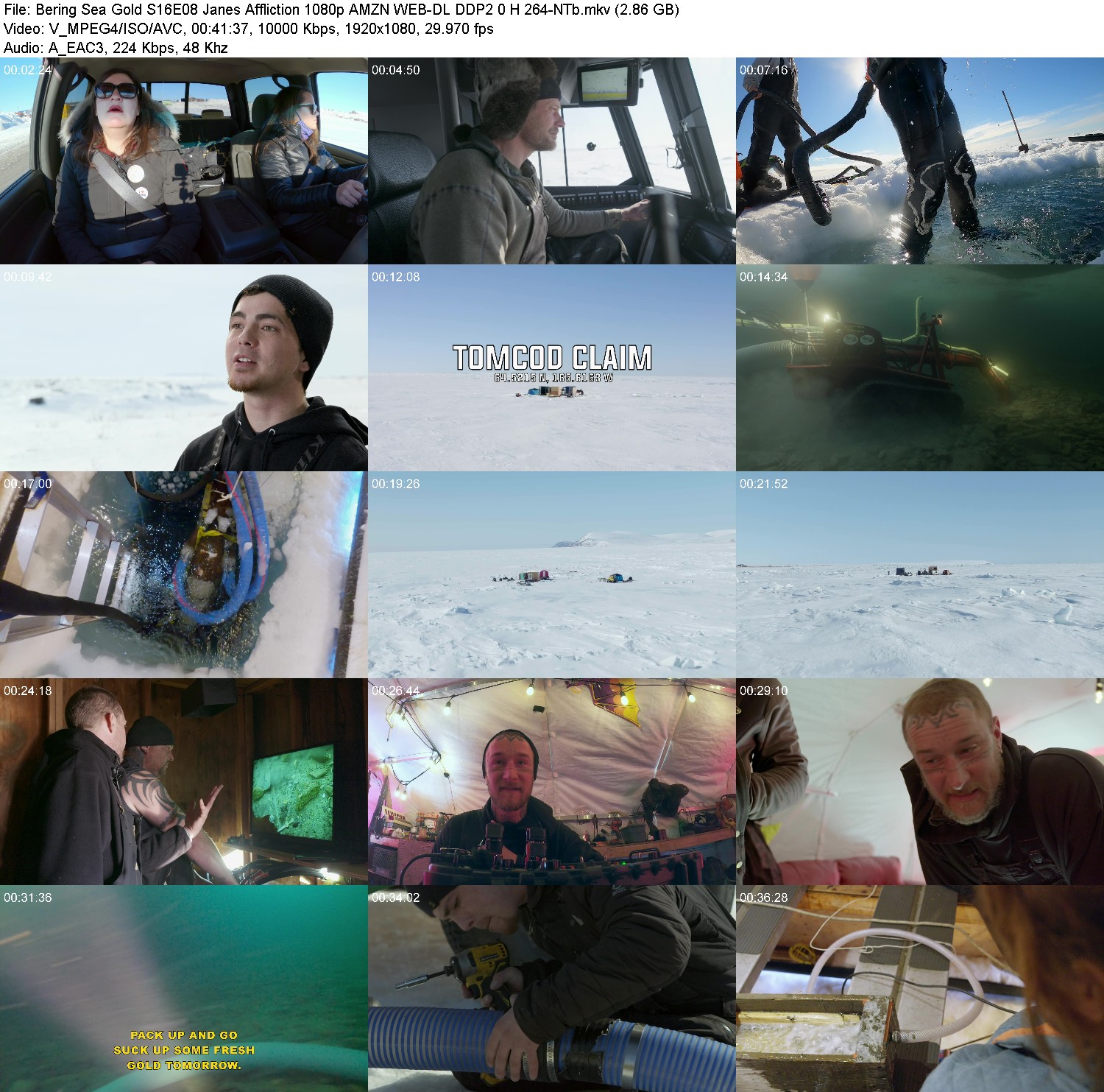 [Image: k56pe9ivg6rr.jpg]