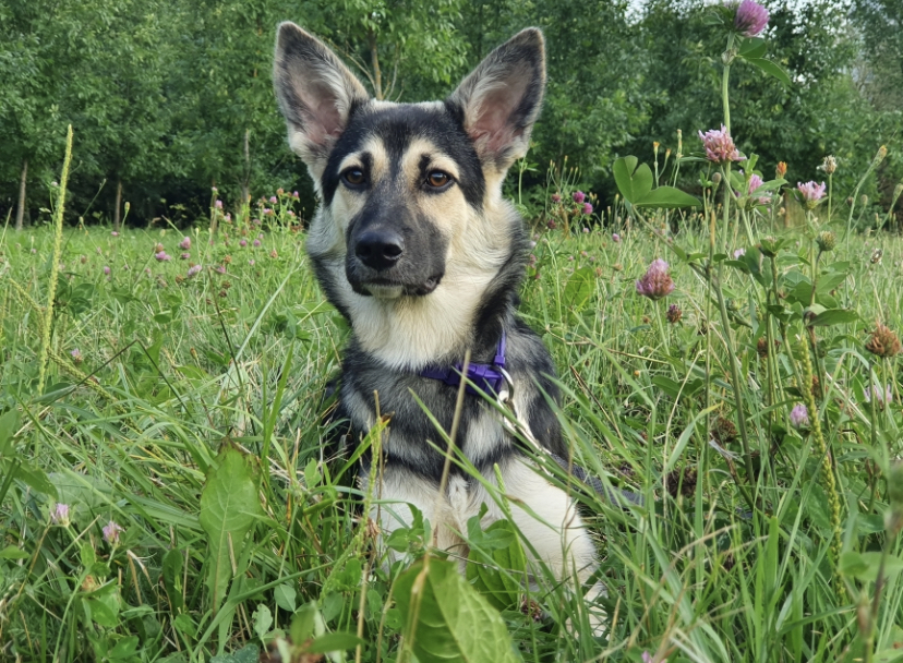 0893CDC8-DE10-483C-B330-934117CCDEAA