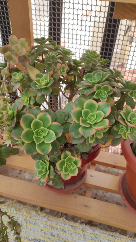 WhatsApp Image 2022-05-12 at 1.40.10 PM (2)