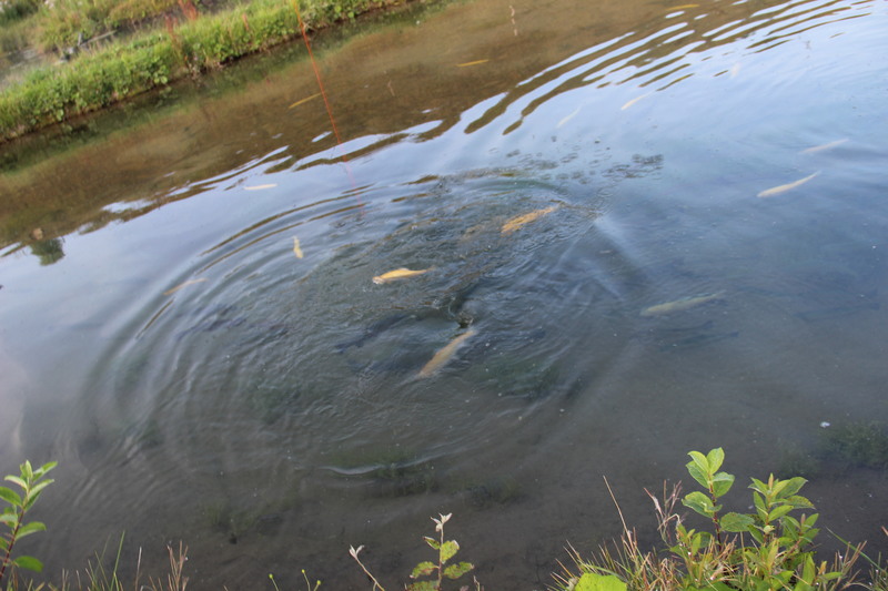 первая рыбалка 049