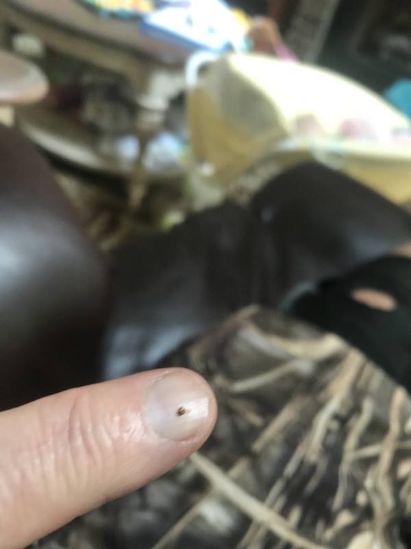 445788EB-A77B-4FF6-AD6B-6C567CADD147