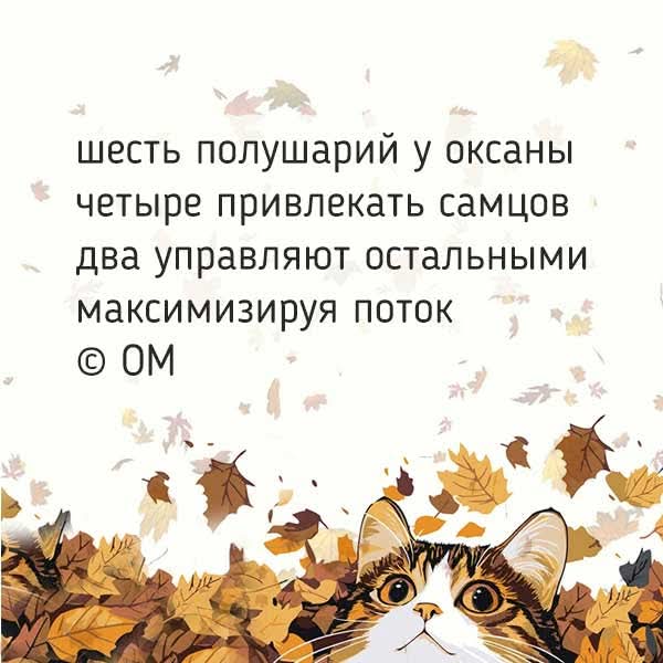 FB IMG 1763628106351