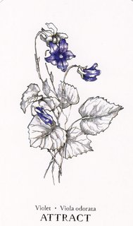 [Imagen: Violet.jpg]