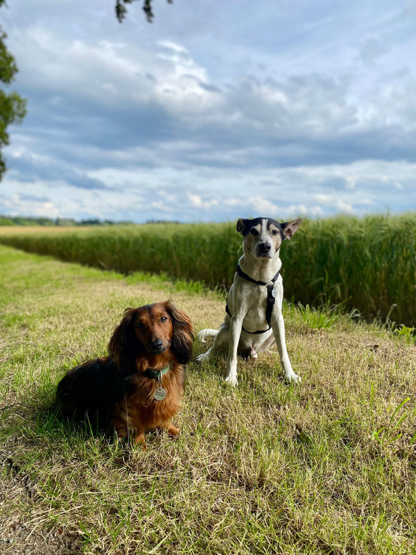 [Image: IMG-20240805-WA0016.jpg]