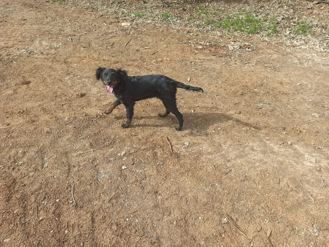 photo_2023-03-24_08-06-55 (10)