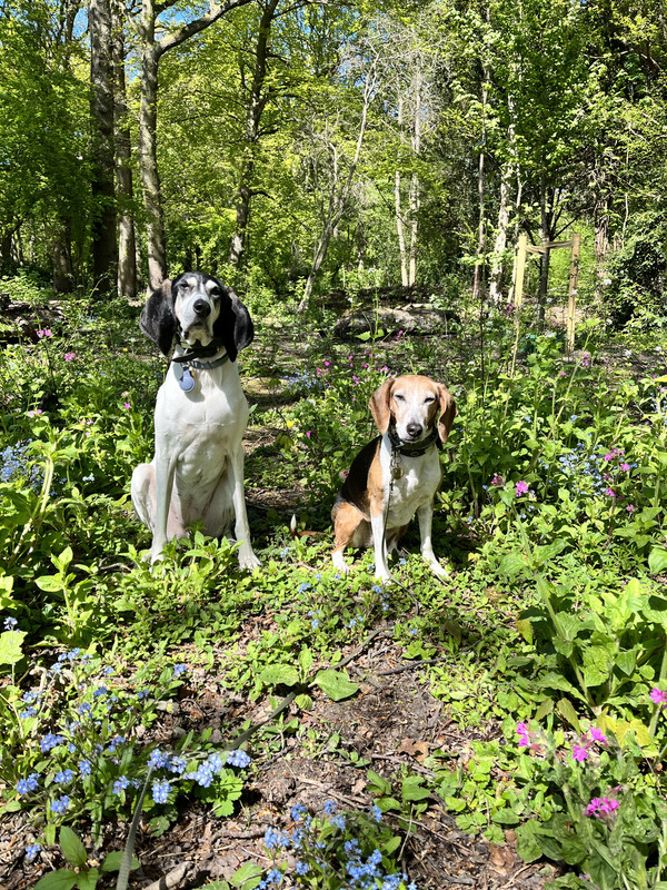 B957B4C6-77D9-45CA-8C89-6C75278B63F3