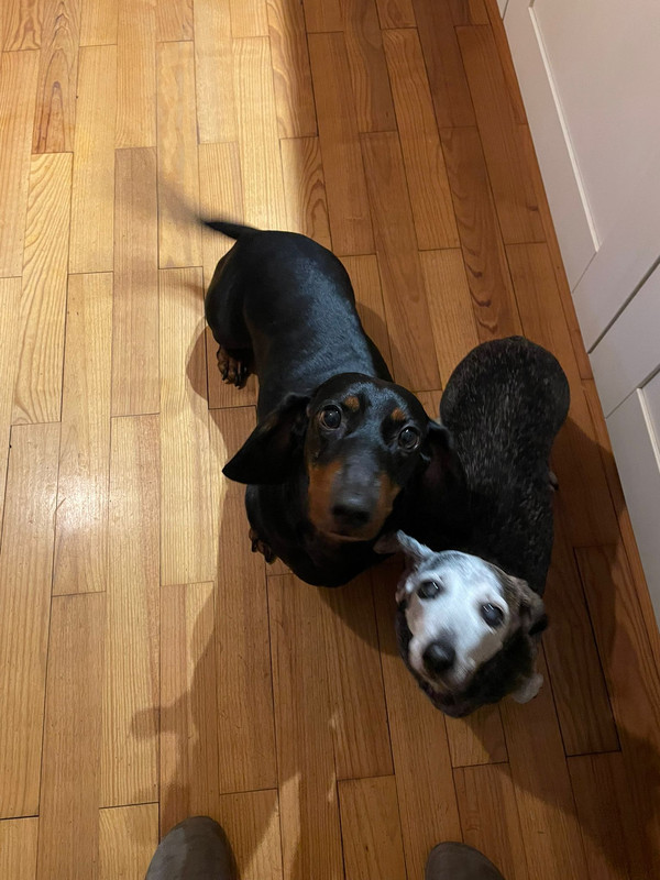 [Image: IMG-20251013-WA0011.jpg]