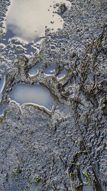 IMG-db65a574a110dc6c2974e9024072c82f-V