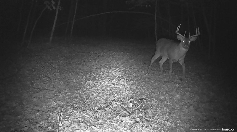 0A99CBB8-92EE-4C98-B807-458C066F221A