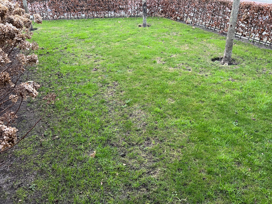 67EF23A1-C1E2-4478-9F74-5497D56599B0