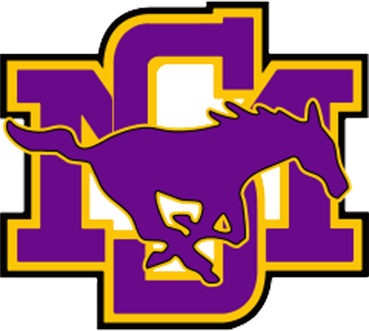 Sunrise Mountain logo