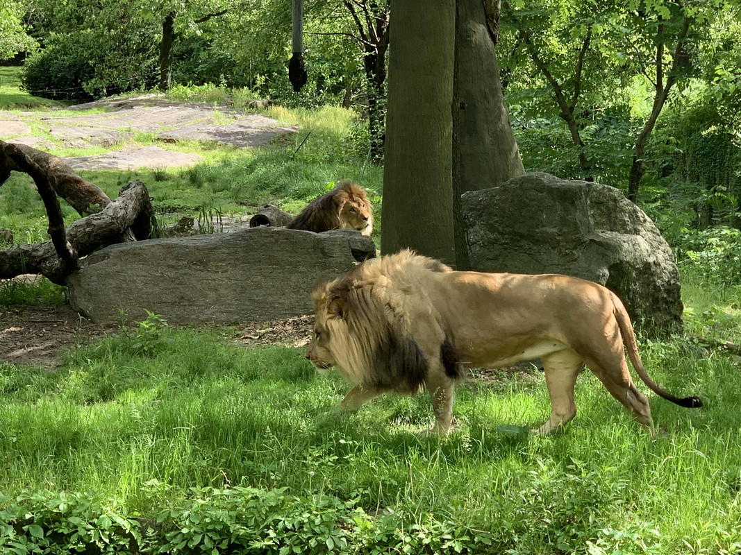 3FA2CCB6-BB03-4AF3-AF22-0A1BA997E9B6