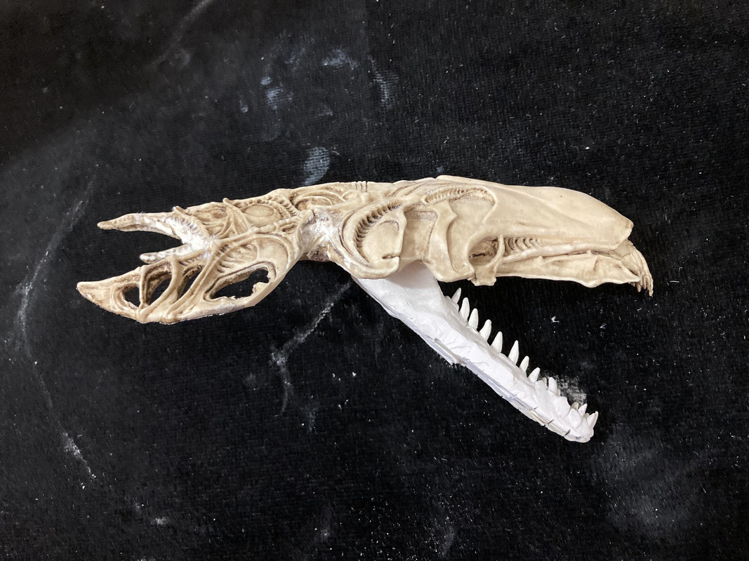 FD51D139-E087-4F31-8399-60319BE3D708