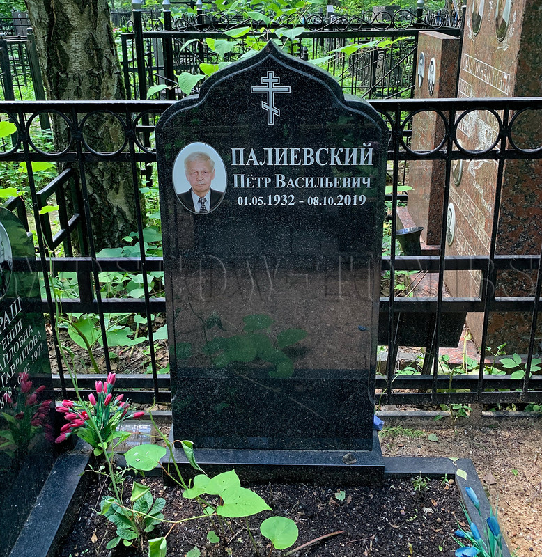 palievsky-pv-new