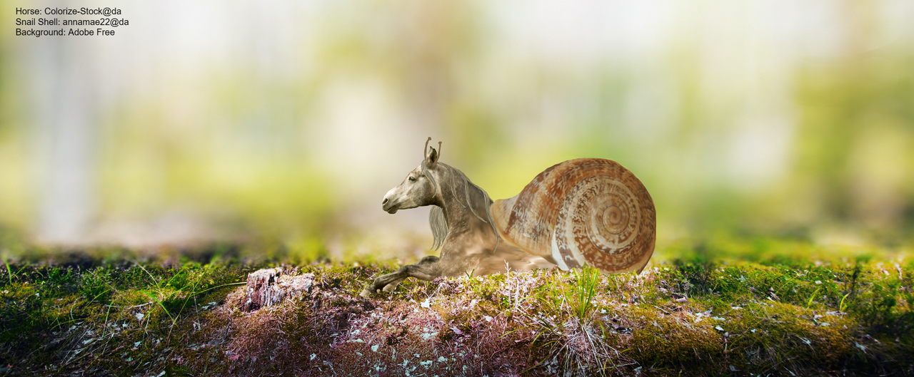 Snail Horse Complete — Postimages