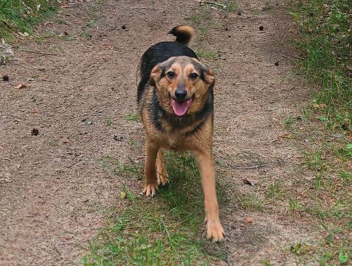 Grj7YM7b IBw5x GG5 84Grbv Uwy Fz Nm5d Uu NOQa1cjr V7t L0 Lh Sh G9JAPb LTp Wwo KXB0w BZxyutc B6sgh3XI