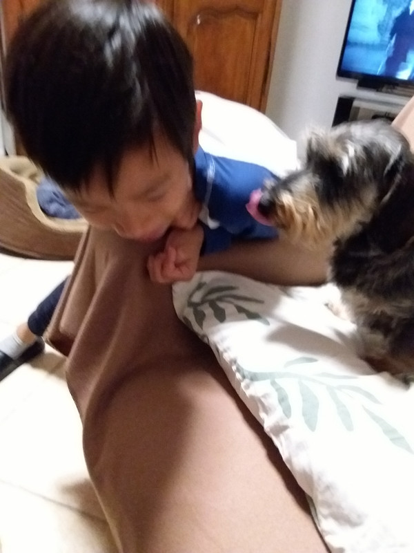 [Image: 20201021-215409-copy-1200x1600.jpg]