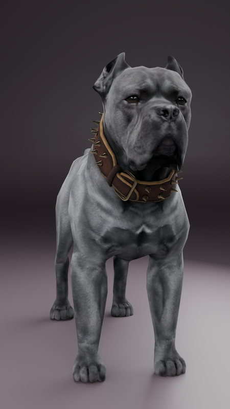Cane Corso
