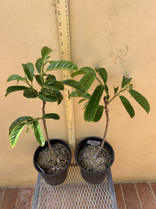 4D1724F6-BFB0-4485-9FDC-0FBD96856616