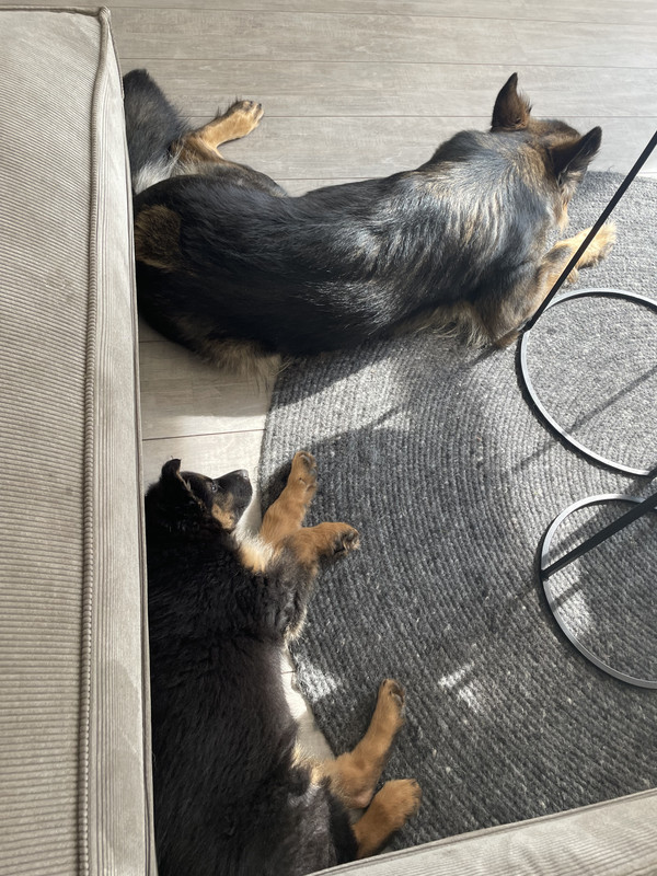 71CC989D-54A8-4959-A657-BA68E5B6A520