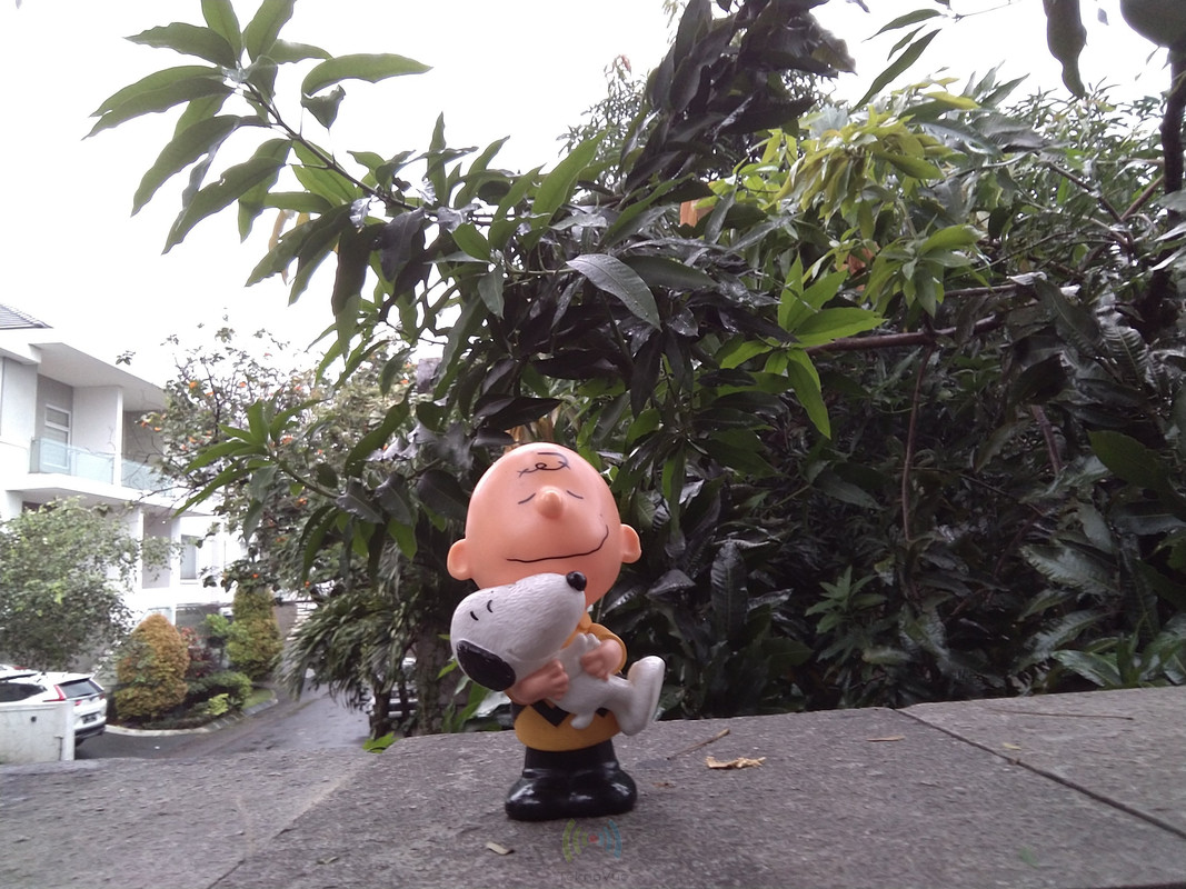 Asus Zenfone Max PRO M1 - Hasil Kamera Depan 1