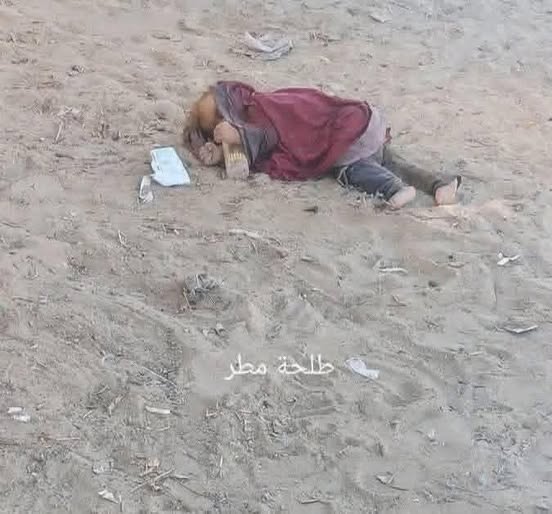 549488330-1101930515254616-9148022422235