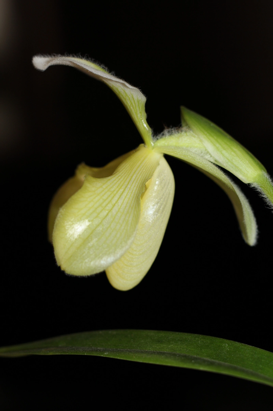 50F03267-4F99-46B2-B395-F163F7CF5C10