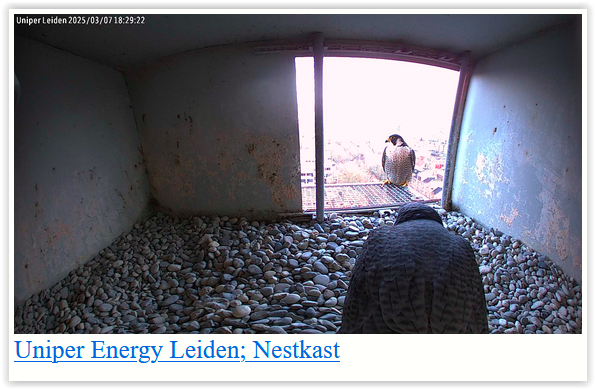 Screen Shot 03-07-25 at 06.26 PM