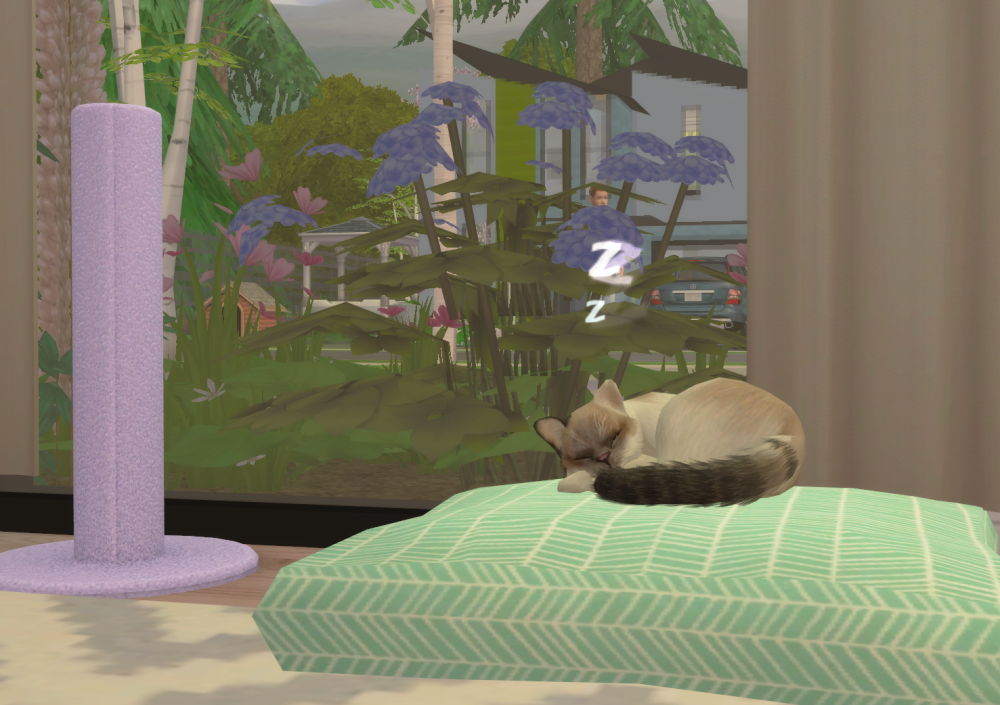 Sims2-EP9-RPC-2021-11-04-19-12-21-51