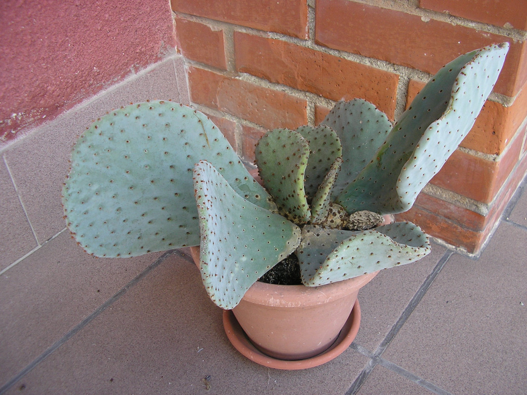 P1012348