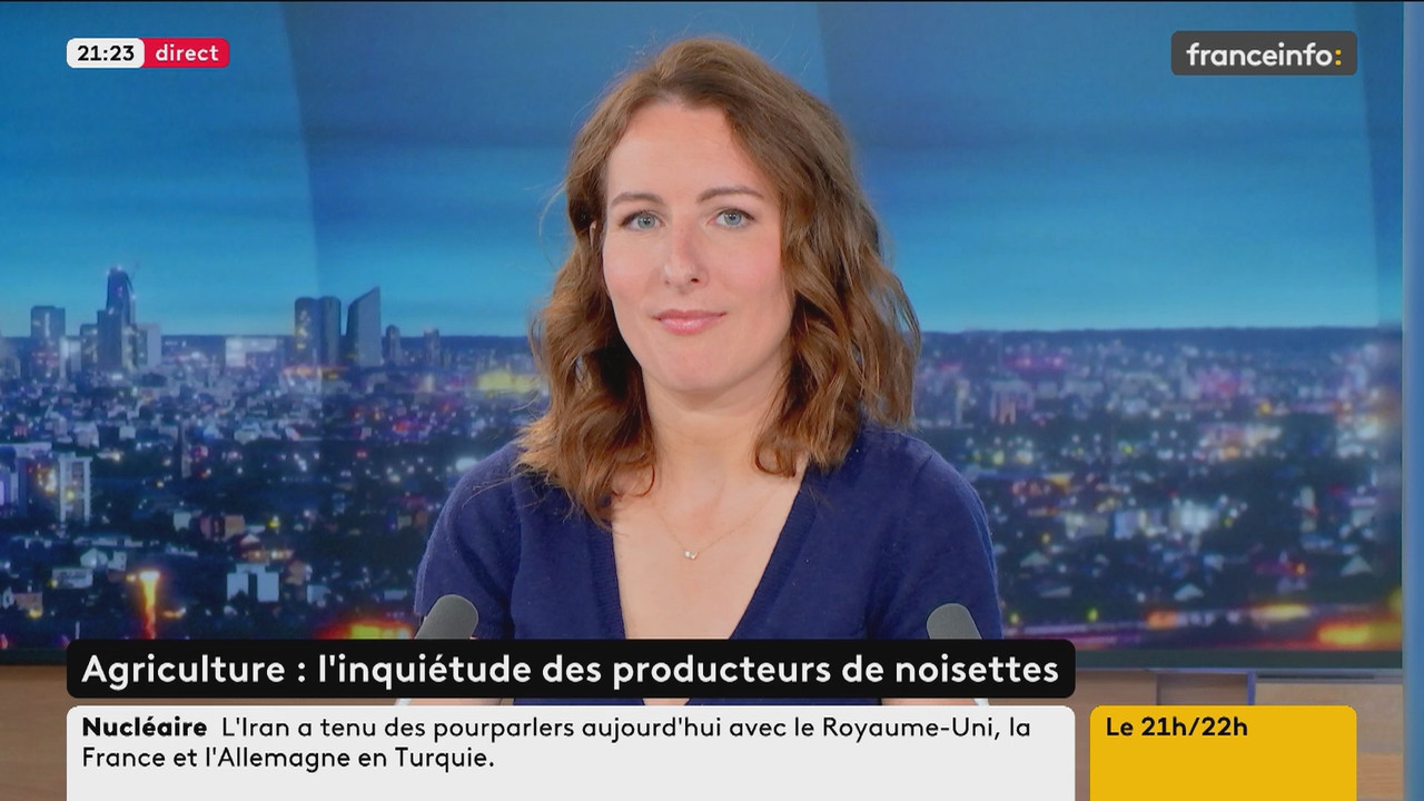 Le 21h-22h (Franceinfo)_2025_05_16_19_50_96.ts_snapshot_33.33.128