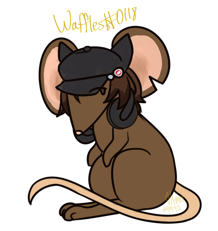 https://i.postimg.cc/WpdMSMLn/rat-1.png