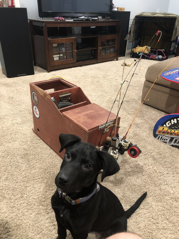 D90F861C-2EC2-492F-9649-DE2E0FA50565