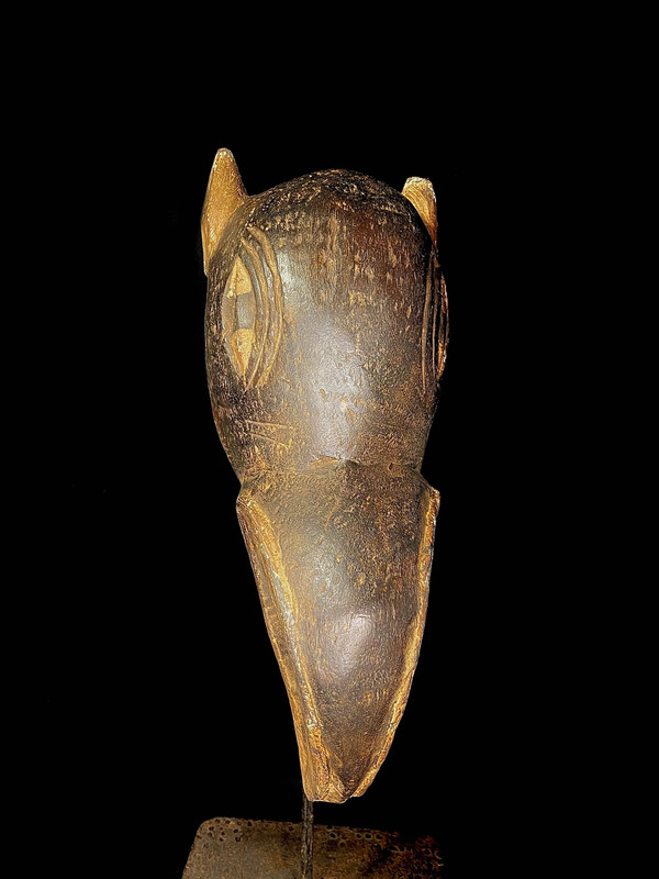 large image 5