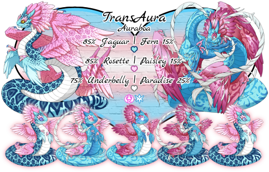 Trans-Aura. Auraboa Breed. Colors will be Robin Primary, Rose Secondary, White Tertiary. Genes will be 85% Jaguar or 15% Fern Primary, 85% Rosette or 15% Paisley Secondary, 75% Underbelly or 25% Paradise Tertiary. Breeds in Arcane and Ice. This pairs colors and genes resemble the Transgender Pride flag