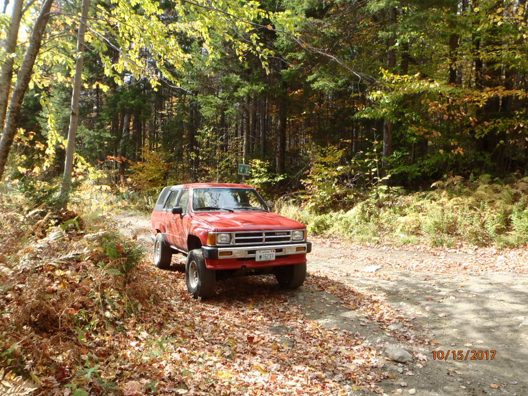 PA150129.jpg