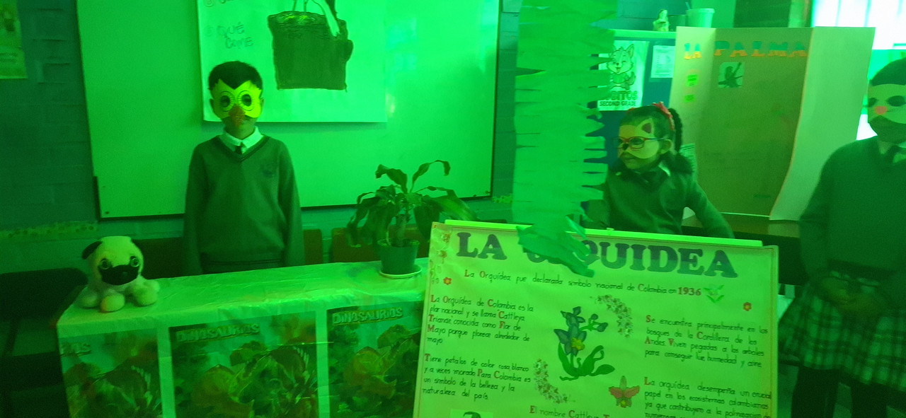 1 Bienal Colombiana (18)