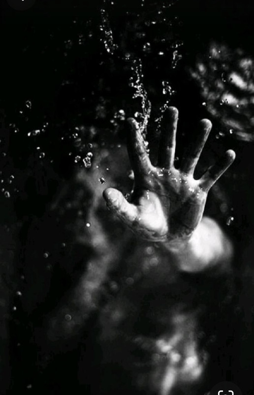 Screenshot_20231220_144150_Pinterest