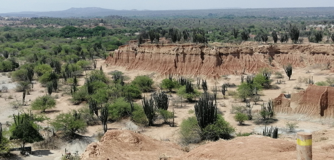 Colombia por libre en 18 días - Blogs de Colombia - Desierto de la Tatacoa (4)