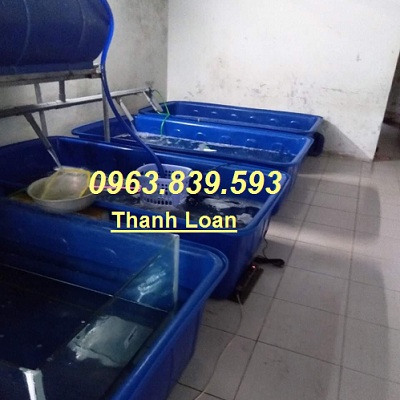 Thùng nhựa 1000lit chữ nhật nuôi cá Koi, tank nhựa đựng nước 1000L rẻ / 0963.839.593 Ms.Loan