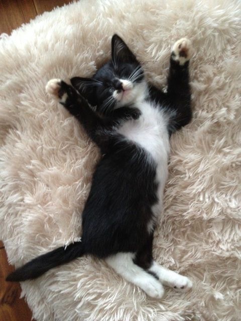 IMG_2288