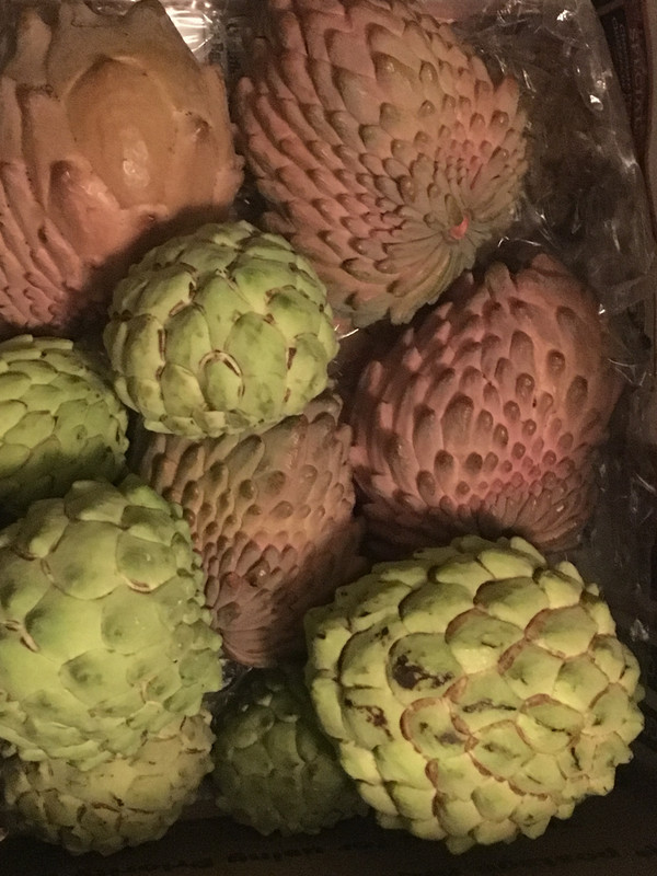 C66B0FB3-97BE-446B-895F-406BDBF91DE4