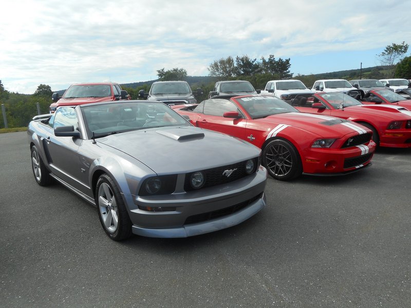 Rendez-Vous Mustang Cliche Auto Ford - 14 août 2022 Cliche2022-21