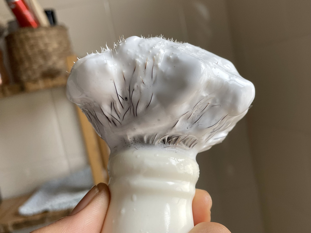 B417AFE0-1064-4EBF-AB22-D37501400DEE