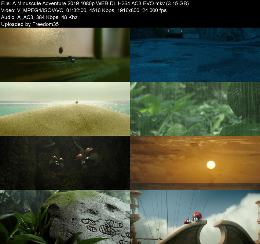 A-Minuscule-Adventure-2019-1080p-WEB-DL-